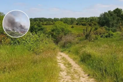 First Rainham Grass Fire Sparks Havering Fire Crisis; Rainham, 2026