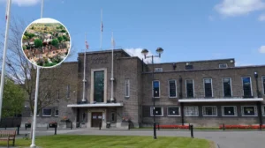 Havering's Illegal HMO Crisis: 864 Properties, 2026