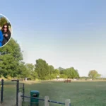 Horse Dies, Rider Injured in Havering Dog Attack 2026