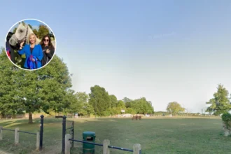 Horse Dies, Rider Injured in Havering Dog Attack 2026