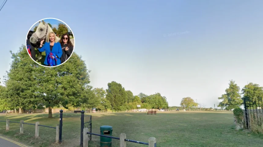 Horse Dies, Rider Injured in Havering Dog Attack 2026