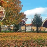 Labour's £30m Youth Lates Boosts Havering Youth Clubs, 2026