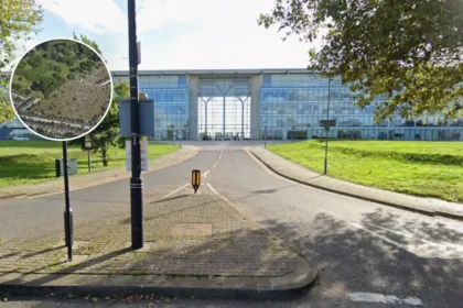 Newham Council Funds £750k Muslim Burial Space Amid Crisis (Newham, 2026)