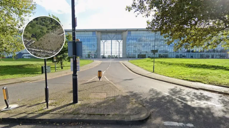 Newham Council Funds £750k Muslim Burial Space Amid Crisis (Newham, 2026)