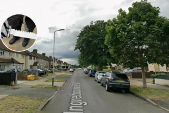 Rainham Zombie Knife Threat: Teen Charged, 2026