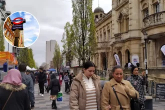 Redbridge 2022 to 2026 Elections; Ilford 