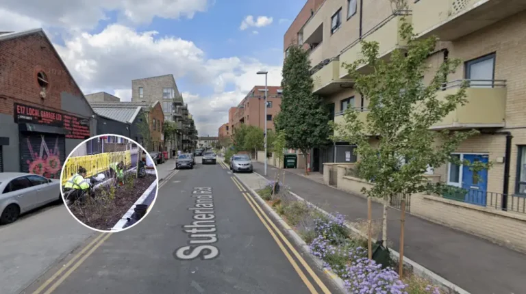 Waltham Forest SuDS: Rain Gardens Transform Sutherland Road, Waltham Forest 2026