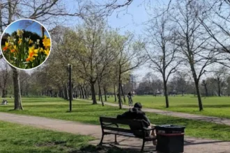 West Ham Park Spring: Blooms & Events - Newham, 2026
