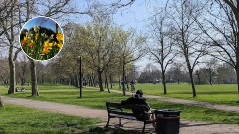 West Ham Park Spring: Blooms & Events - Newham, 2026