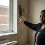 Brooklime House Homerton Damp Mould and Residents Complaints