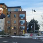 Drivers urged to stop for cats — Dagenham and Rainham 2026