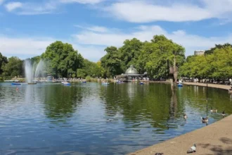 Explore Hackney: A Complete Guide to the Best Food, Culture, and Entertainment
