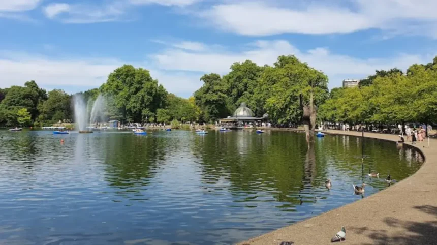Explore Hackney: A Complete Guide to the Best Food, Culture, and Entertainment