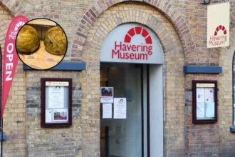 Havering Museum marks Essex Freemasonry milestone | Havering 2026