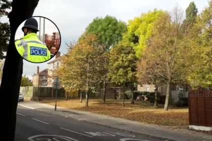 Havering Shoplifting Crisis: 2,200 Offences Hit Havering 2026