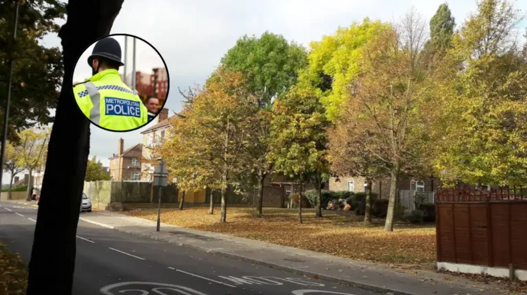 Havering Shoplifting Crisis: 2,200 Offences Hit Havering 2026