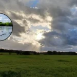 Havering's Best AllTrails Spring Walks: Hornchurch LOOP Trails 2026