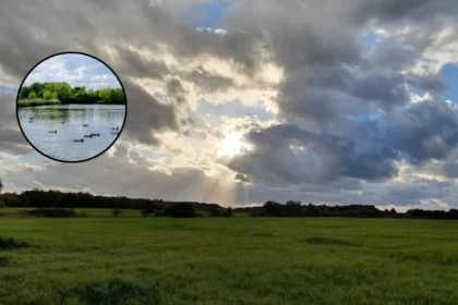 Havering's Best AllTrails Spring Walks: Hornchurch LOOP Trails 2026