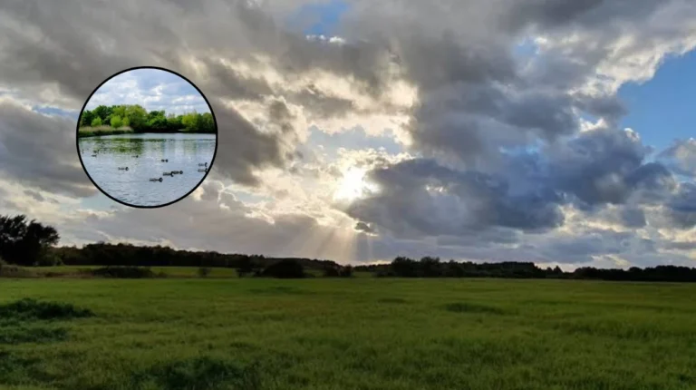 Havering's Best AllTrails Spring Walks: Hornchurch LOOP Trails 2026