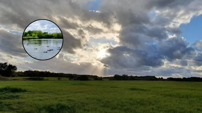 Havering's Best AllTrails Spring Walks: Hornchurch LOOP Trails 2026