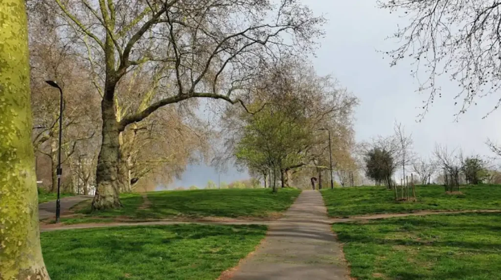 How does Hackney support accessibility and family needs?