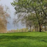 Top Outdoor Activities and Scenic Places Across Hackney in London