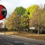 A Life Cut Short: Harold Hill Knife Crime Film 2026