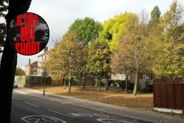 A Life Cut Short: Harold Hill Knife Crime Film 2026