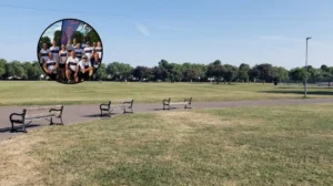 Barking Roadrunners and Dagenham 88 Excel in Summer Races: East London 2026