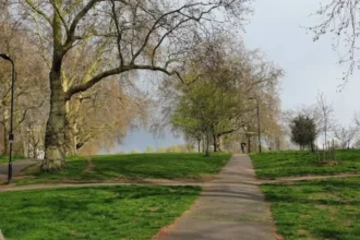 Best Day Trips and Leisure Experiences in Hackney, London