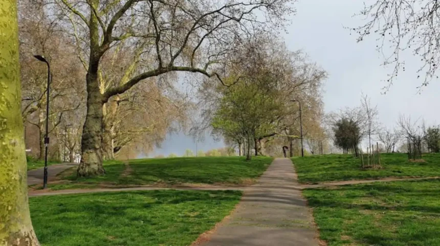 Best Day Trips and Leisure Experiences in Hackney, London
