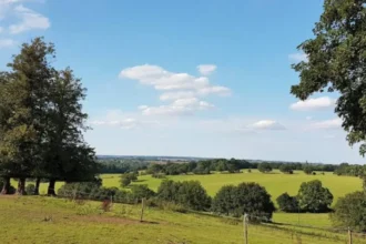 Best Outdoor Activities & Scenic Locations in Havering Today