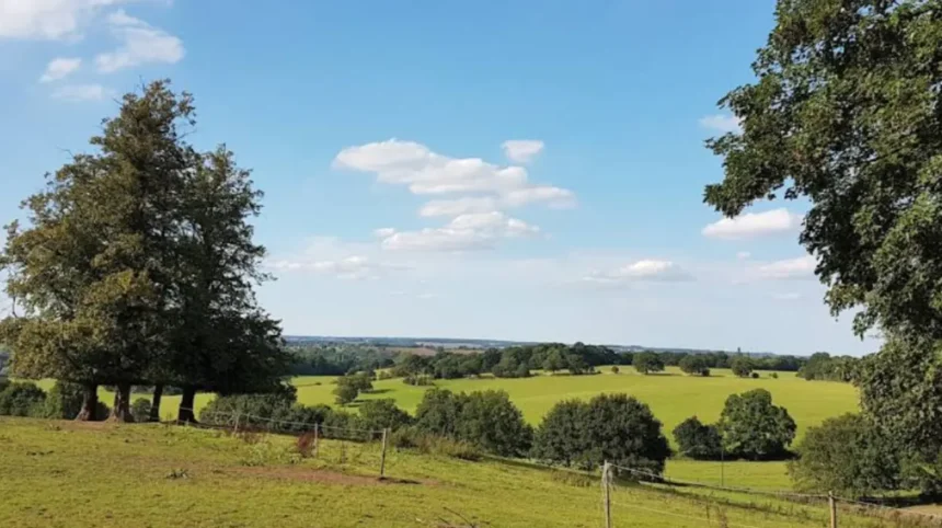 Best Outdoor Activities & Scenic Locations in Havering Today