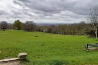 Best Places to Visit in Havering for a Relaxing Day Out in London