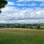 Complete Visitor Guide to Havering’s Parks Historic Sites and Leisure Attractions