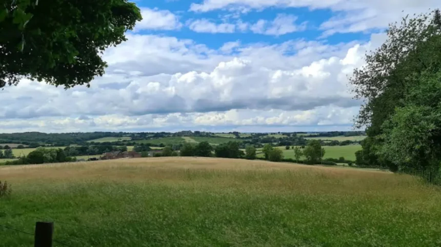 Complete Visitor Guide to Havering’s Parks Historic Sites and Leisure Attractions