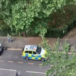 East London Hit-and-Run Investigation Underway After Bow Collision