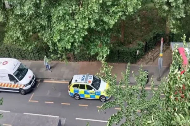 East London Hit-and-Run Investigation Underway After Bow Collision