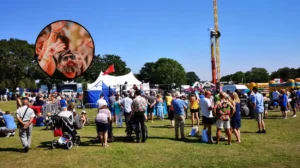 Essex Summer Fest 2026: Music, Fun & Family Events in Hornchurch 2026