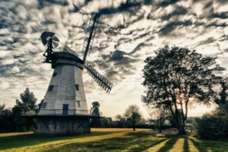 Havering Attractions Guide for Tourists Interested in History, Parks, and Nature