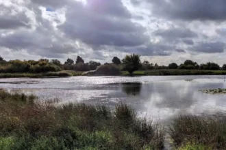 Havering Travel Guide: Top Places to Visit Year-Round