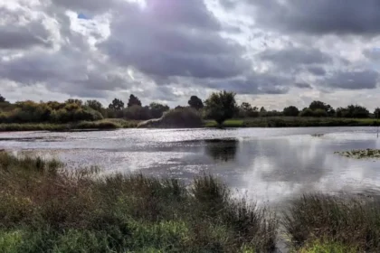 Havering Travel Guide: Top Places to Visit Year-Round