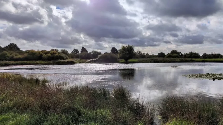 Havering Travel Guide: Top Places to Visit Year-Round