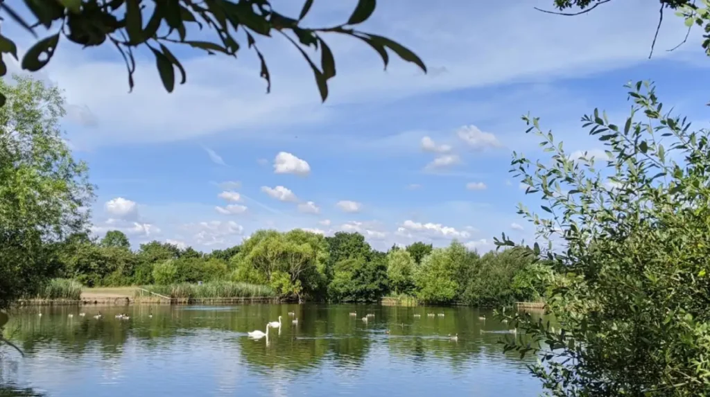 How Does Havering's Wildlife and Nature Reserve Network Support Tourism?