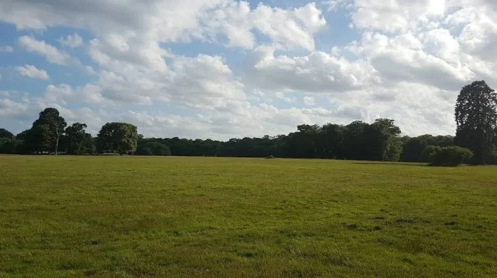 How do I plan an efficient day trip visiting multiple Havering hidden gems?
