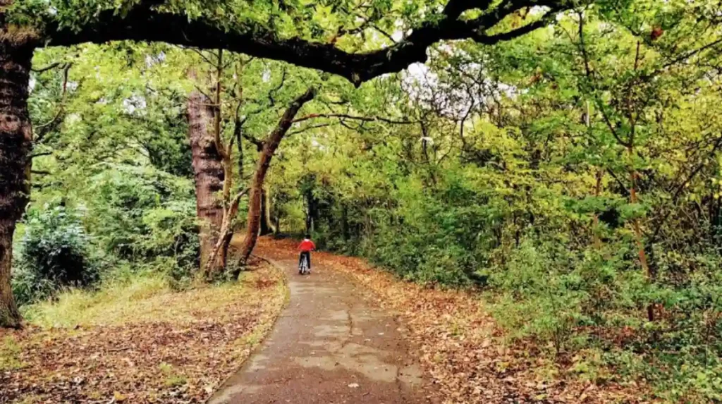 How should families plan a one-day Havering itinerary?