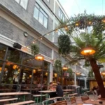 Top Attractions and Hidden Spots to Discover Around Hackney, London