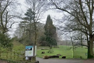 The Hidden East London Park Perfect for Nature Walks and Wildlife