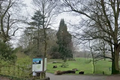 The Hidden East London Park Perfect for Nature Walks and Wildlife