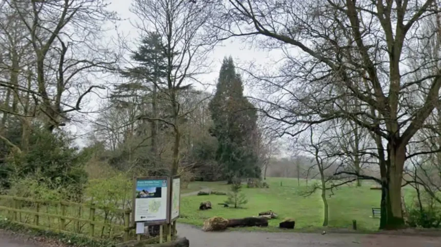 The Hidden East London Park Perfect for Nature Walks and Wildlife